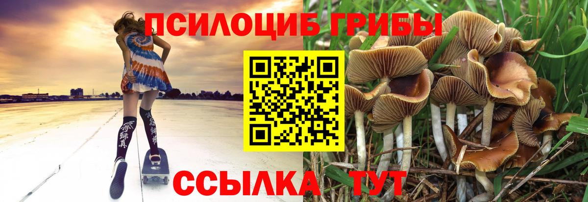 Галлюциногенные грибы Magic Shrooms  что такое наркотик  Саяногорск  Вход с VPN 